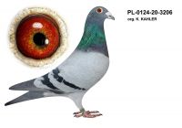 PL-0124-20-3206 org. K. Kahler