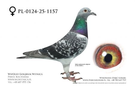 PL-0124-25-1157: Agata Steplowska