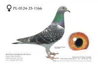 PL-0124-25-1166: Agata Steplowska, m in 12m