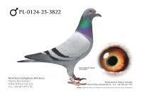 PL-0124-25-3822: Team Witnica