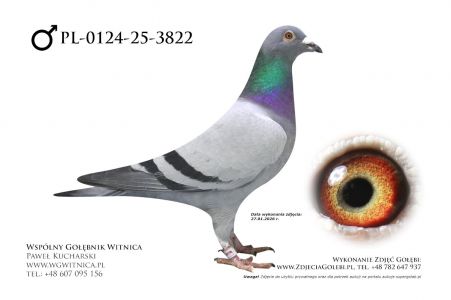 PL-0124-25-3822: Team Witnica