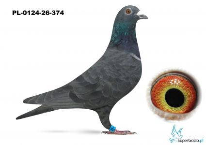 PL-0124-26-374