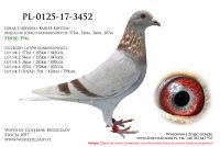 PL-0125-17-3452