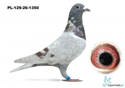 PL-0129-26-1350