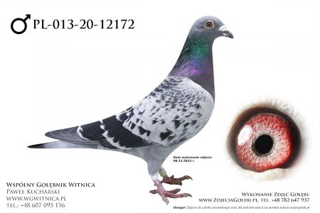 PL-013-20-12172  RYSZARD OLESIAK – TADEUSZ KOSMALA