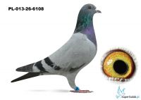 PL-013-26-6108