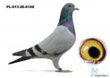 PL-013-26-6108