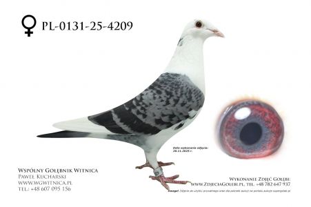 PL-0131-25-4209: Stanislaw Martyka, m in 30m z FINAŁU