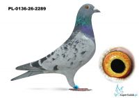 PL-0136-26-2289