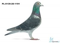 PL-0139-20-1191