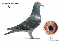 PL-0139-25-9131 Artur, Henryk Świtała