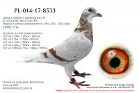 PL-014-17-8533