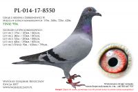 PL-014-17-8550