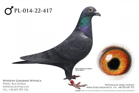 PL-014-22-417: MWG Mazury, 18. Lotnik, m in 6m, 7m