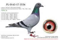 PL-0143-17-3534