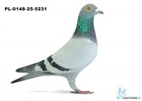 PL-0148-25-5231 14. OKRĘG KATOWICE