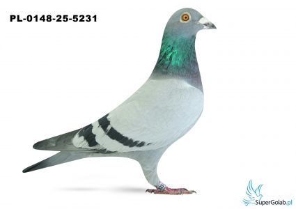 PL-0148-25-5231 14. OKRĘG KATOWICE