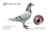 PL-0155-25-1296: Team Frydziu, 30. Lotnik, m in 11m z FINAŁU