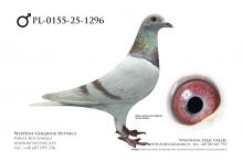 PL-0155-25-1296: Team Frydziu, 30. Lotnik, m in 11m z FINAŁU