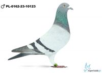 PL-0162-23-10123