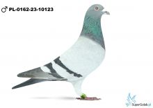 PL-0162-23-10123