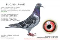 PL-0163-17-4407