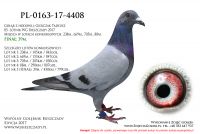 PL-0163-17-4408