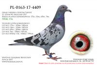 PL-0163-17-4409