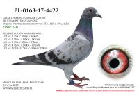 PL-0163-17-4422