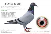 PL-0166-17-2601