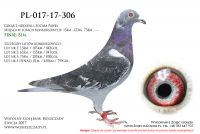PL-017-17-306