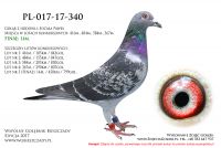 PL-017-17-340