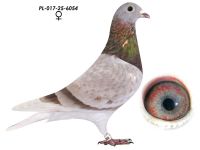 PL-017-25-6054 Linia Olimpijczyka 808 K. Paszek