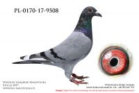 PL-0170-17-9508