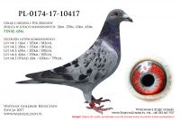 PL-0174-17-10417