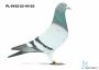 PL-0174-21-834.