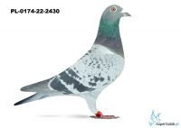 PL-0174-22-2430