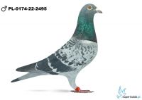 PL-0174-22-2495