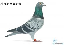PL-0174-22-2495