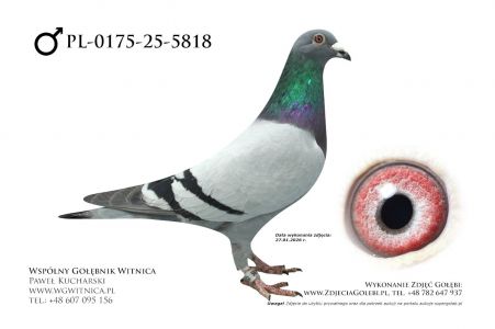 PL-0175-25-5818: Piotr Rydlewski