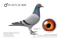 PL-0175-25-5820: Piotr Rydlewski, 19. Lotnik, m in 24m, 39m z FINAŁU