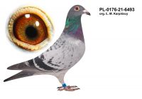 PL-0176-21-6493 org. Ł.M. Karpińscy