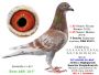 PL 0176-23/25-12353 Prange/Koopman Inbred na siostrę 