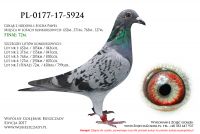 PL-0177-17-5924