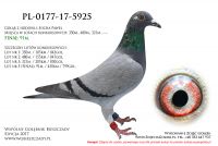 PL-0177-17-5925