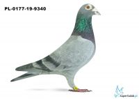 PL-0177-19-9340