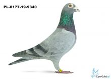 PL-0177-19-9340