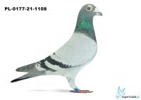 PL-0177-21-1108