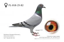 PL-018-25-82: Team Frydziu-Mateusz, m in 38m