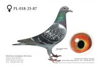 PL-018-25-87: Team Frydziu-Mateusz